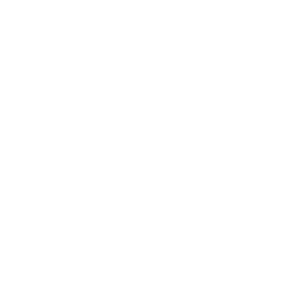 Legacy Risk Solutions Logo - White